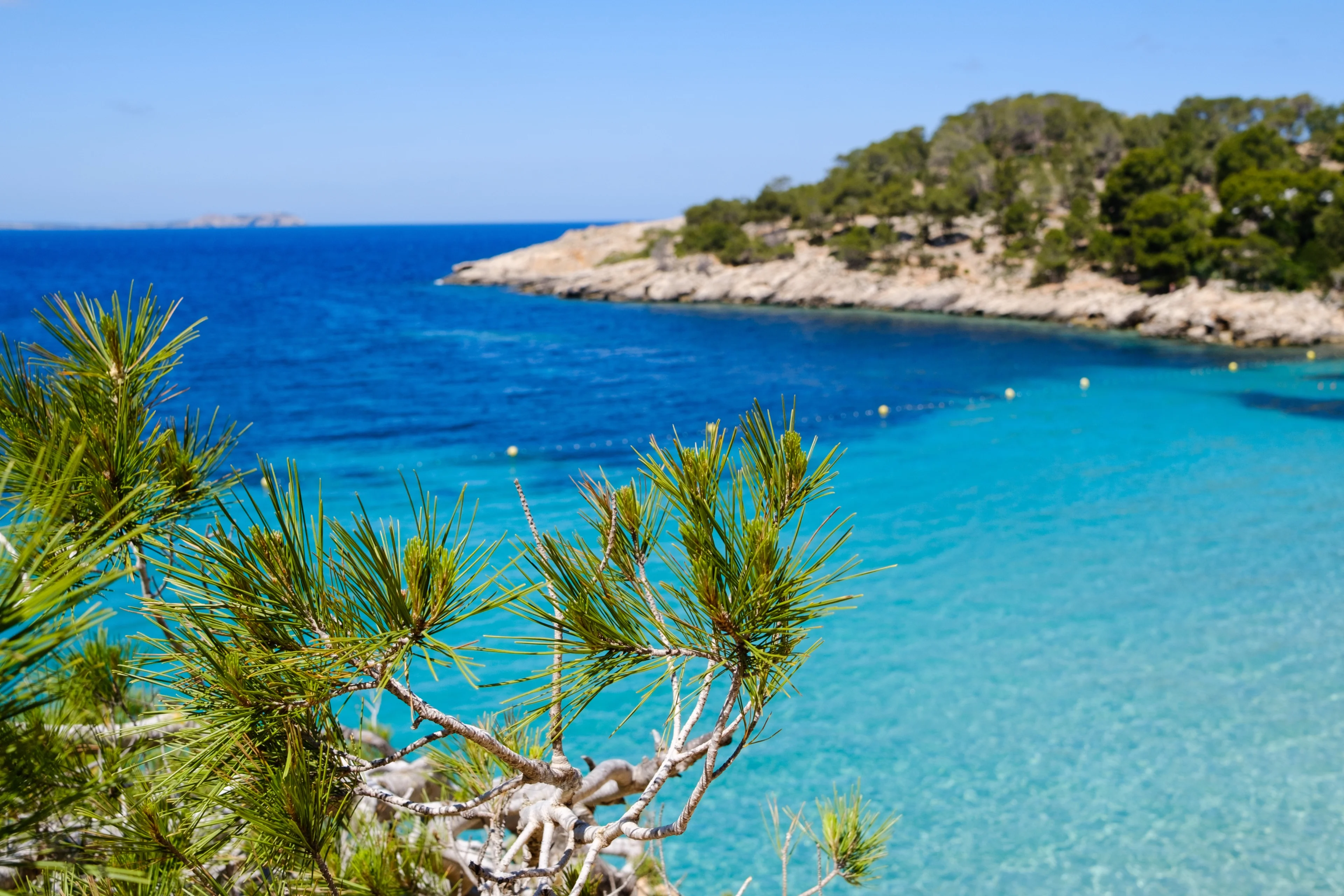 Photo from album Eivissa / Ibiza πͺπΈ (May 2025) taken on 05/25/2025