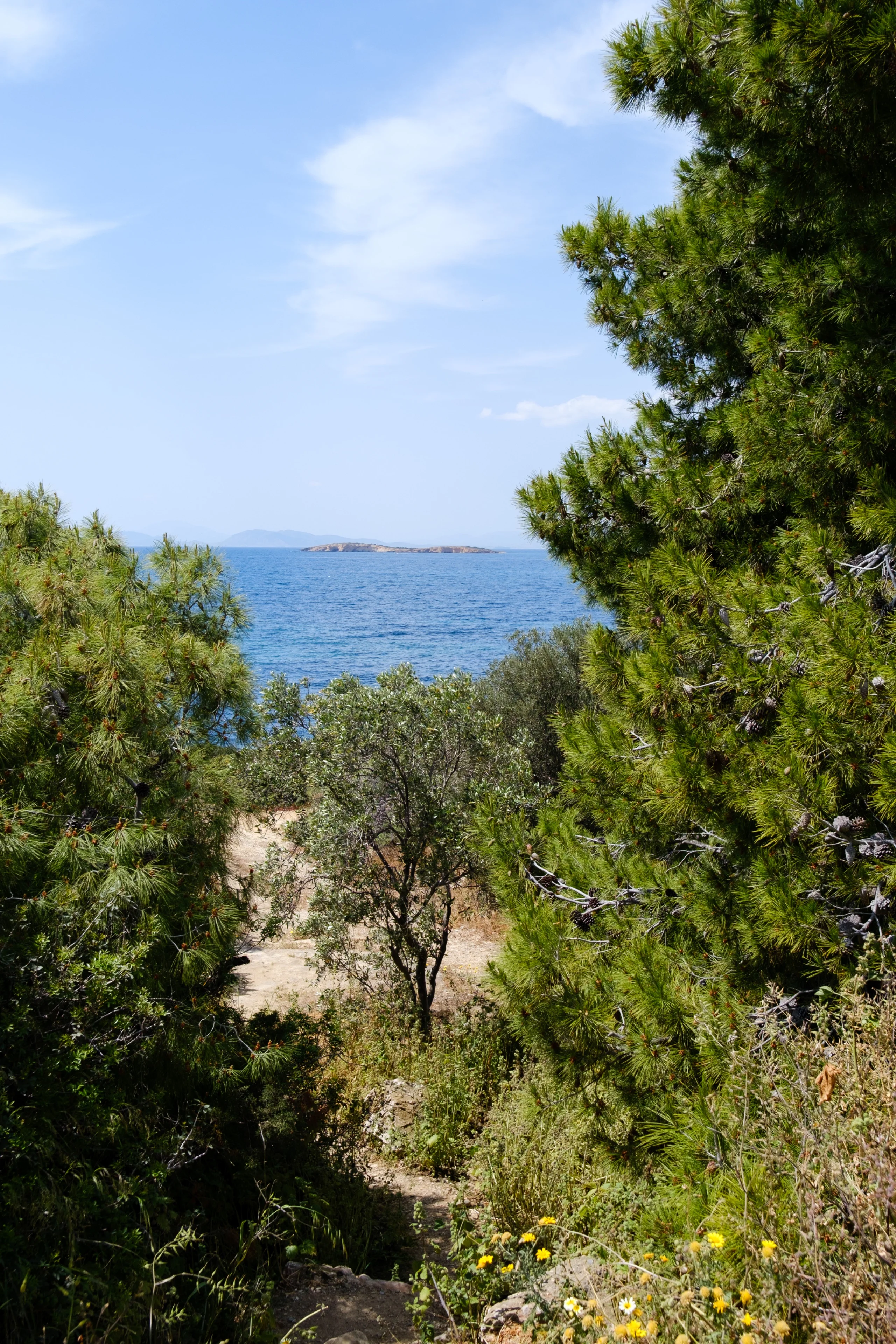 Photo from album Πάσχα / Easter 2025 taken on 04/23/2025