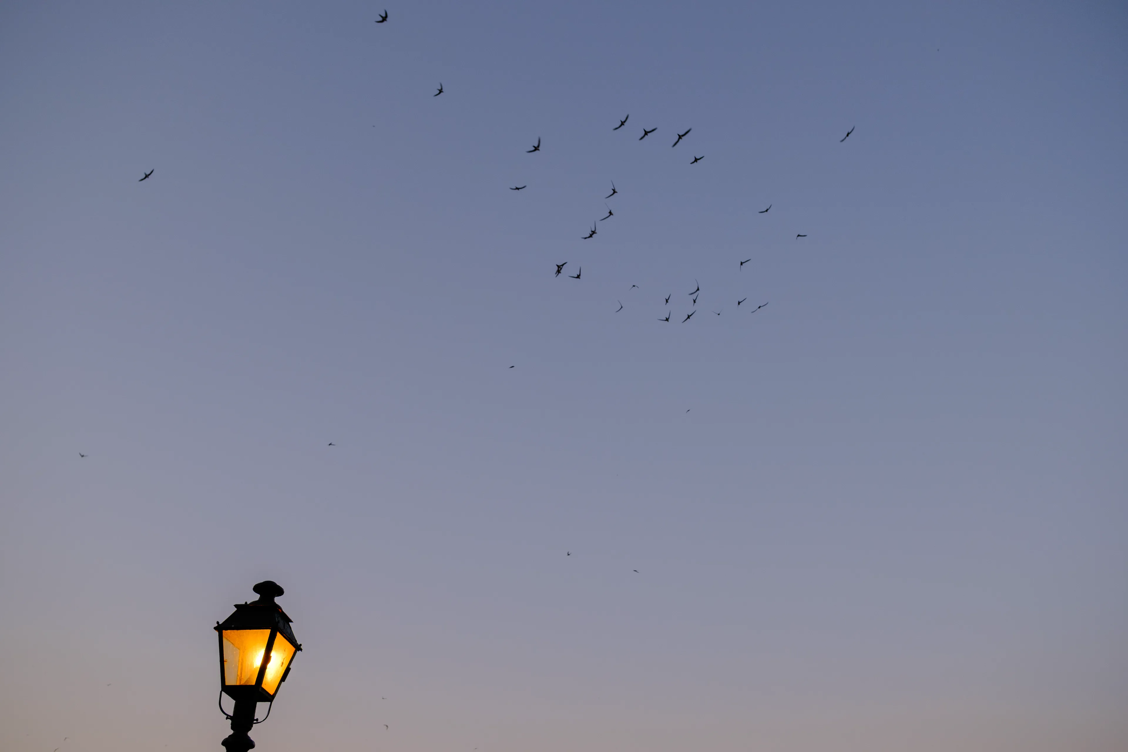 Photo from album Κέρκυρα / Corfu  🏖️ (Été 2025) taken on 07/02/2025