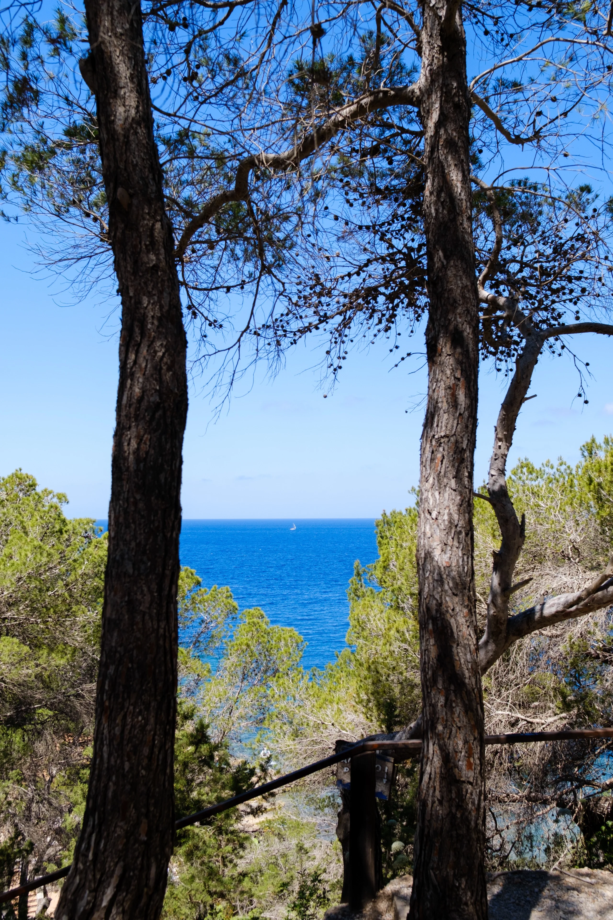 Photo from album Eivissa / Ibiza πͺπΈ (May 2025) taken on 05/25/2025