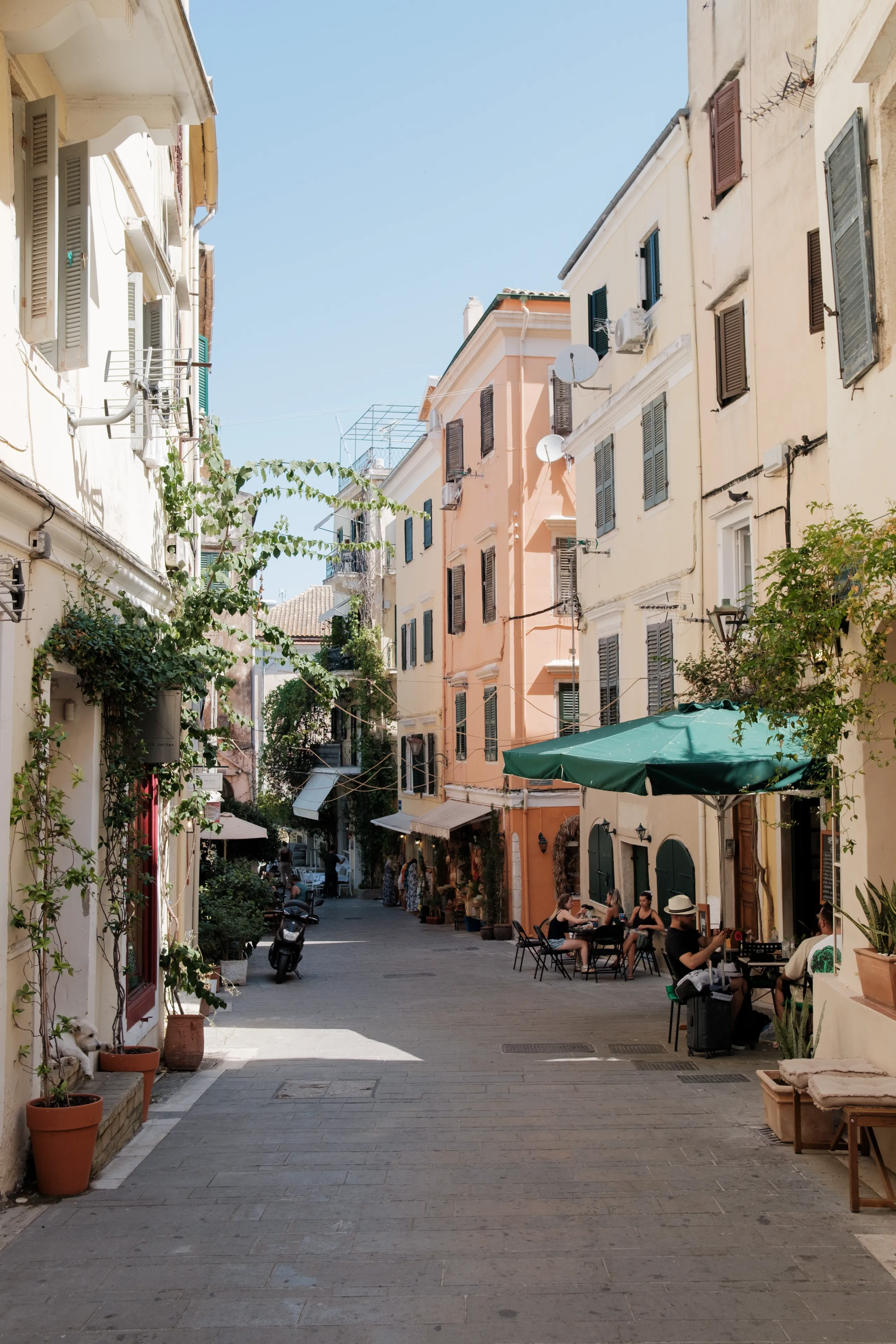 Photo from album Κέρκυρα / Corfu  🏖️ (Été 2025) taken on 07/03/2025