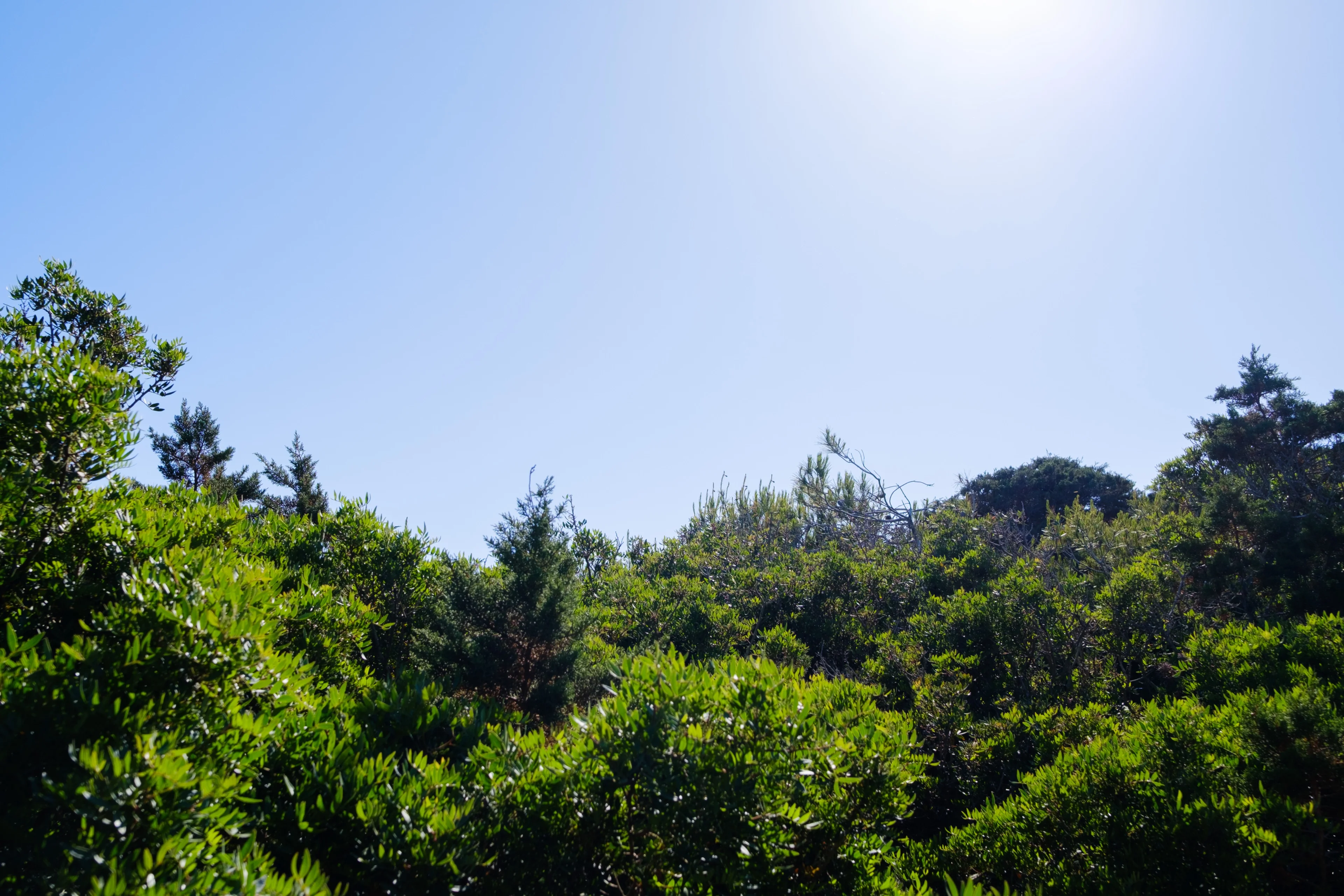 Photo from album Eivissa / Ibiza πͺπΈ (May 2025) taken on 05/25/2025