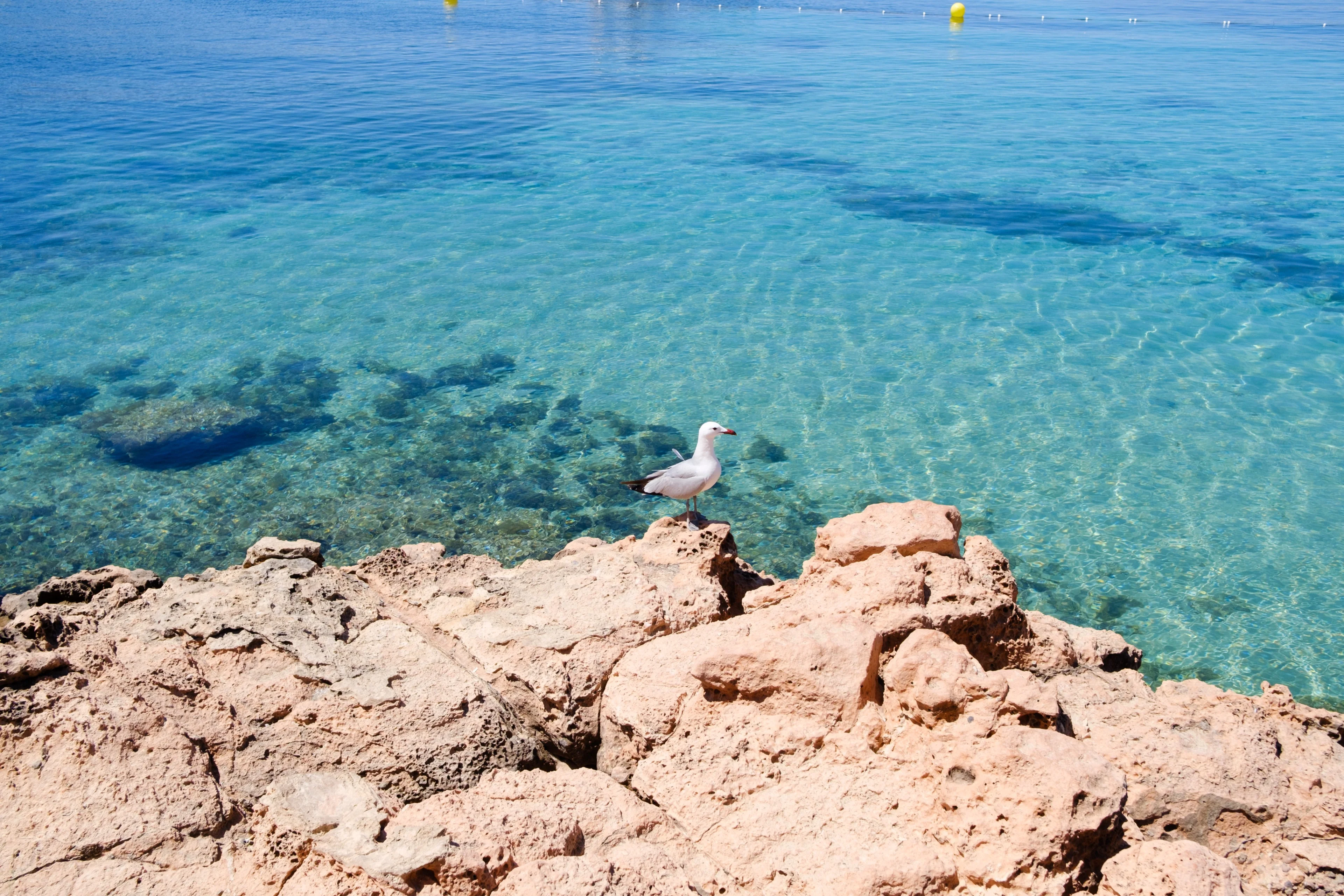 Photo from album Eivissa / Ibiza πͺπΈ (May 2025) taken on 05/26/2025